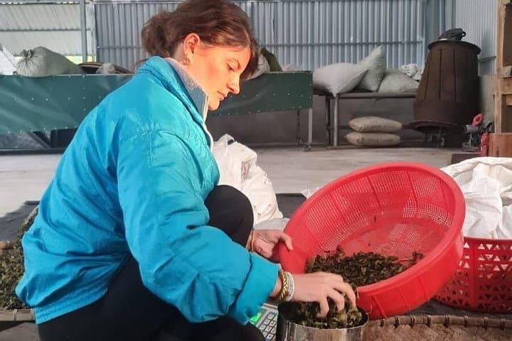 Ancient Tea Tour & Homestay West of Ha Giang — 2-Day Shan Tea Experience photo 1