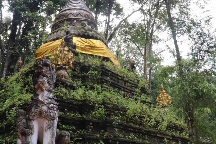 Half-Day Morning Wat Pha Lat and Doi Suthep Tour — Chiang Mai Temple Views & Jungle Stairs photo 3