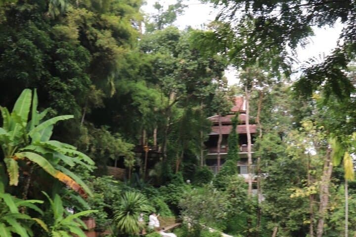Half-Day Morning Wat Pha Lat and Doi Suthep Tour — Chiang Mai Temple Views & Jungle Stairs photo 4