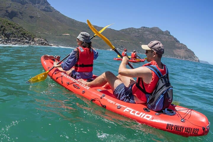 Sea-Level Secrets: Guided Kayak Tours and Marine Life in Hout Bay photo 1