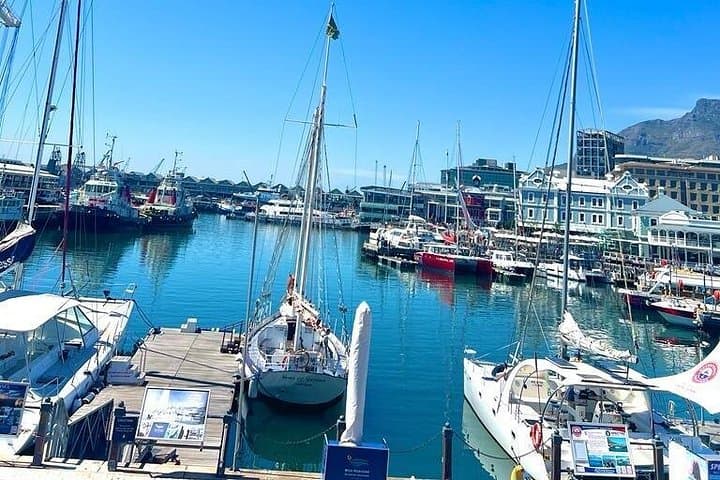 Robben Island, Table Mountain & Kirstenbosch: Full-Day Cape Town Heritage and Nature Tour photo 2