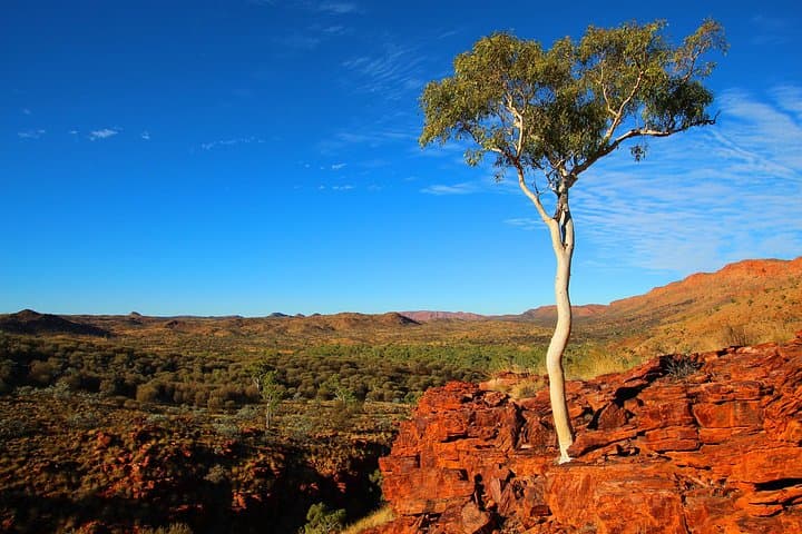 Alice Springs to Ross River Resort: Self-Guided East MacDonnell Outback Drive photo 5