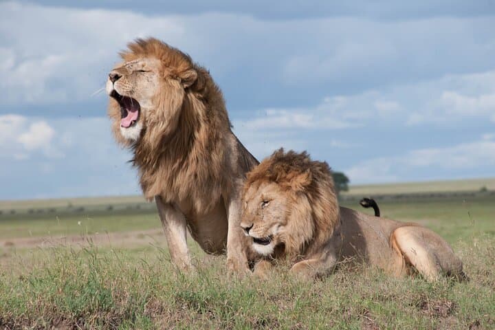 3-Day Budget Safari: Tarangire, Ngorongoro & Lake Manyara from Arusha photo 2