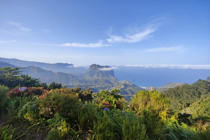 Madeira 4x4 Full-Day Private Tour — Off-Road Levadas, Peaks & Coast