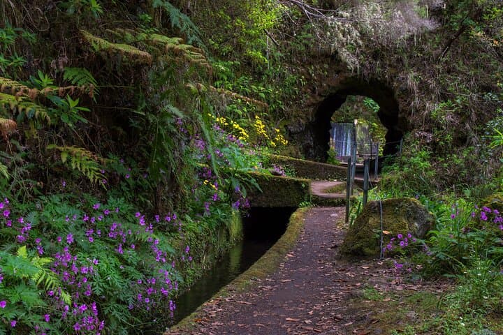 Madeira 4x4 Full-Day Private Tour — Off-Road Levadas, Peaks & Coast photo 3