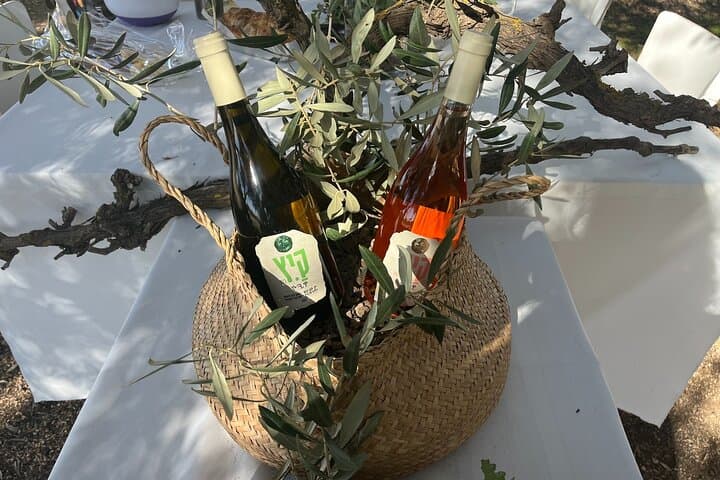Histillery Private Historical Wine Tour from Jerusalem photo 2