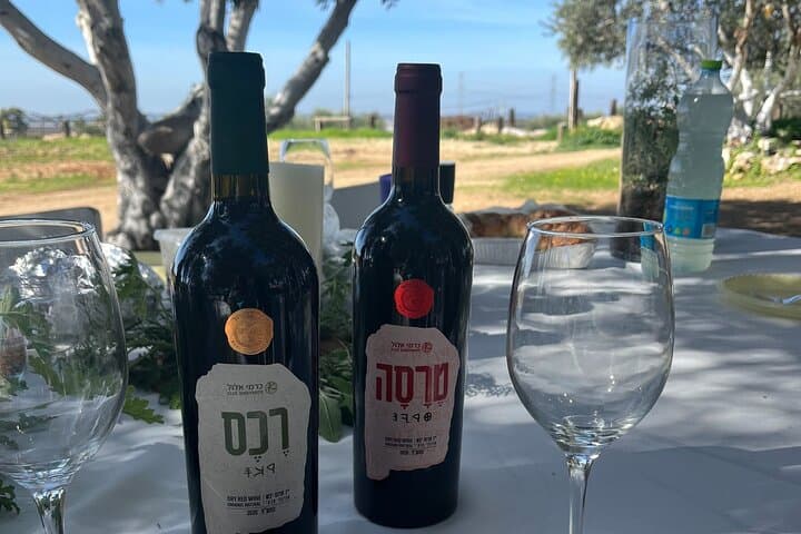 Histillery Private Historical Wine Tour from Jerusalem photo 5
