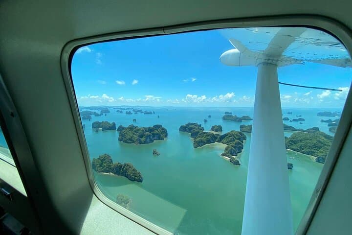 Halong Bay Seaplane & Luxury Day Cruise: A Sky-to-Sea Discovery photo 6