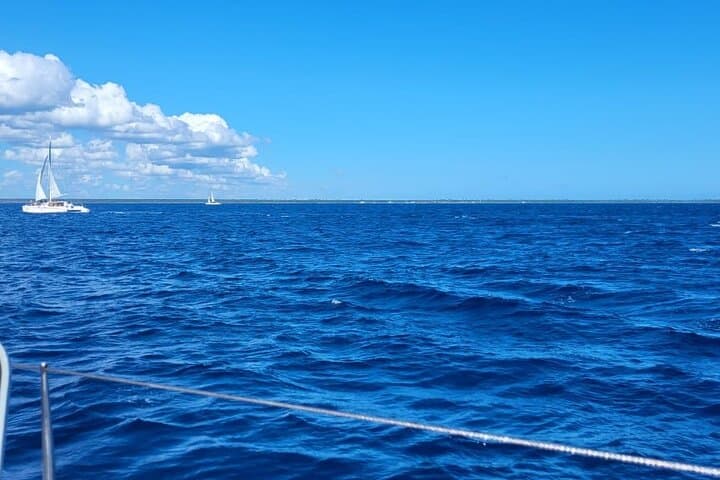 Saona Island Full-Day Catamaran & Speedboat Tour from Punta Cana photo 4