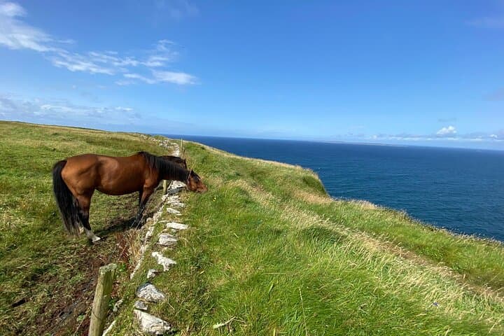 Small-Group Cliffs of Moher Hiking Tour from Galway photo 5