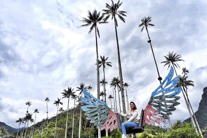 Cocora Valley, Salento & Filandia Day Tour — Wax Palms, Coffee Culture & Easy Hiking photo 4