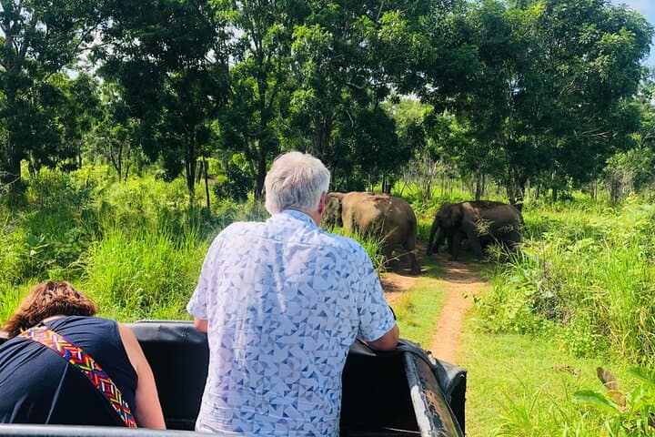 Tuk-Tuk Safari to Minneriya: Up-Close Elephant Watching in Sri Lanka photo 2