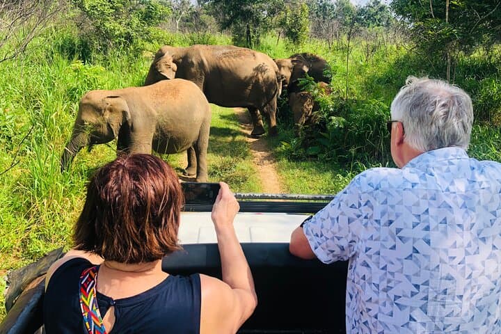 Tuk-Tuk Safari to Minneriya: Up-Close Elephant Watching in Sri Lanka photo 3