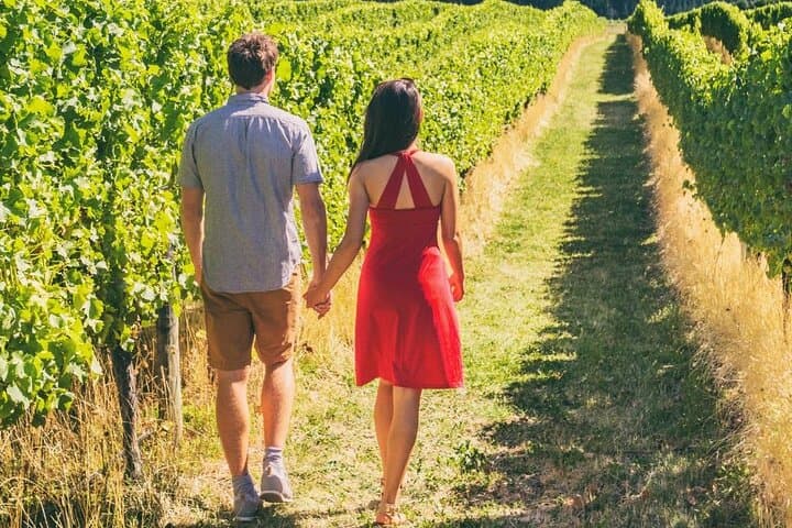 Exploring Napa Valley: Private Group Wine Tours Through Iconic Vineyards photo 2