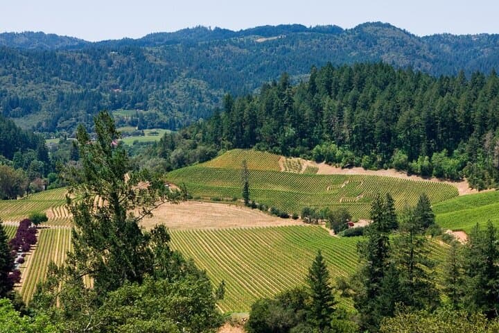 Exploring Napa Valley: Private Group Wine Tours Through Iconic Vineyards photo 6