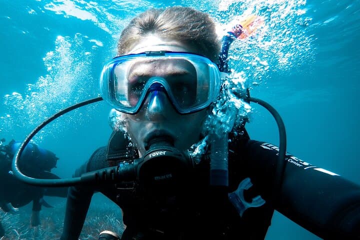 Whale and Dive Combo Tour in Los Cabos — Scuba, Whales & The Arch photo 3