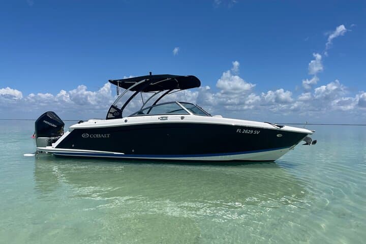 Key Largo Bay Dolphin Sunset Tour — Evening Dolphin Watching & Sunset Cruise