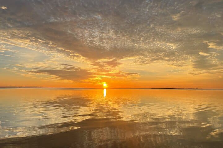 Key Largo Bay Dolphin Sunset Tour — Evening Dolphin Watching & Sunset Cruise photo 2
