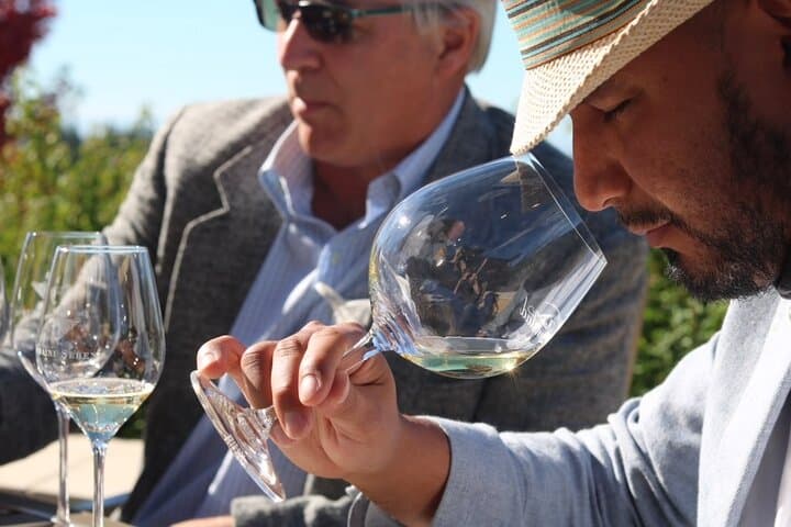 Willamette Valley Private Wine-Maker Tour with Gourmet Vineyard Lunch