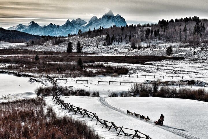 Jackson Hole Dog Sledding & Snowmobiling Combo at Heart Six Ranch photo 2