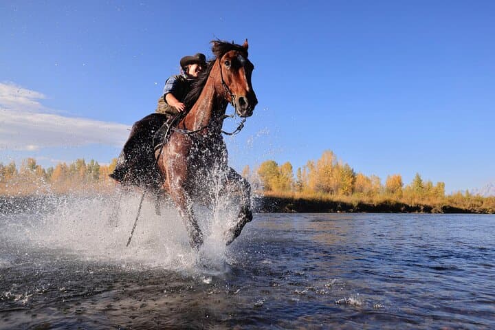 Dinner Cookout Horseback Ride at Heart Six Ranch Near Grand Teton