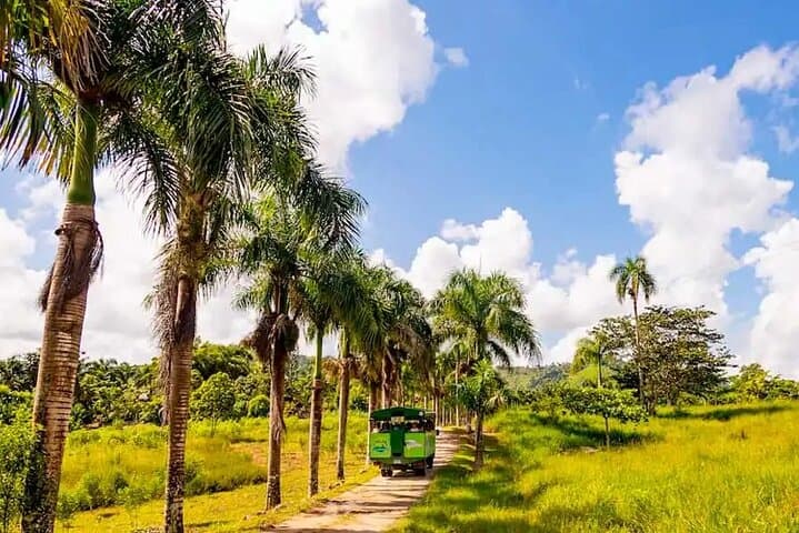 Exhilarating Dominican Adventure: Zipline, ATV and More photo 3