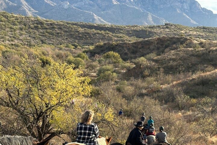Guided One-Hour Horseback Ride in Catalina State Park — Beginners Welcome photo 2