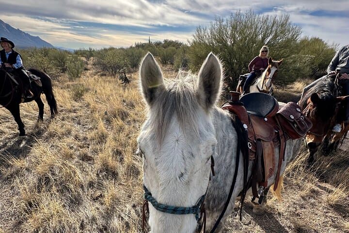 Guided One-Hour Horseback Ride in Catalina State Park — Beginners Welcome photo 6