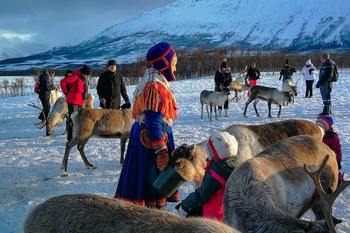 Reindeer Feeding and Sámi Culture Afternoon in Tromsø photo 6