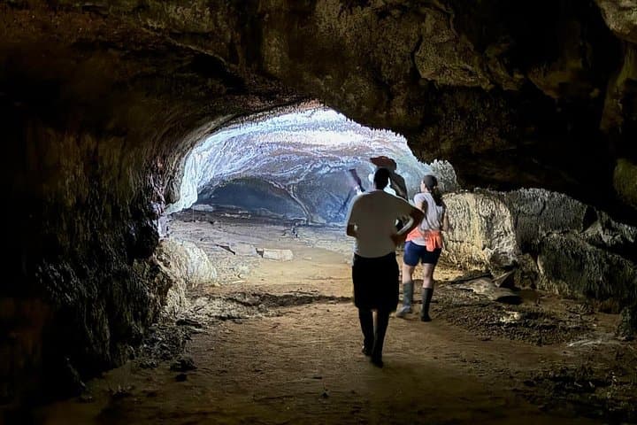 Galápagos Day Tour: Giant Tortoises, Lava Tunnels & Los Gemelos Craters photo 2