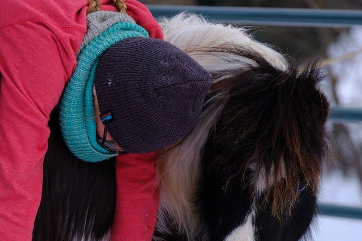 Horse-Assisted Yoga in Skagway — Mindful Trail Flow with Horses photo 4