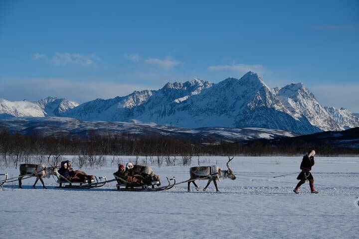 Reindeer Sledding and Sami Culture Near Tromsø: Feeding, Stories & Traditional Meal photo 6