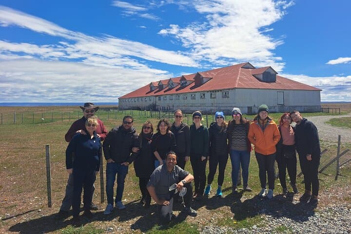 Day Trip to King Penguin Park — Private Wildlife Tour from Punta Arenas photo 2