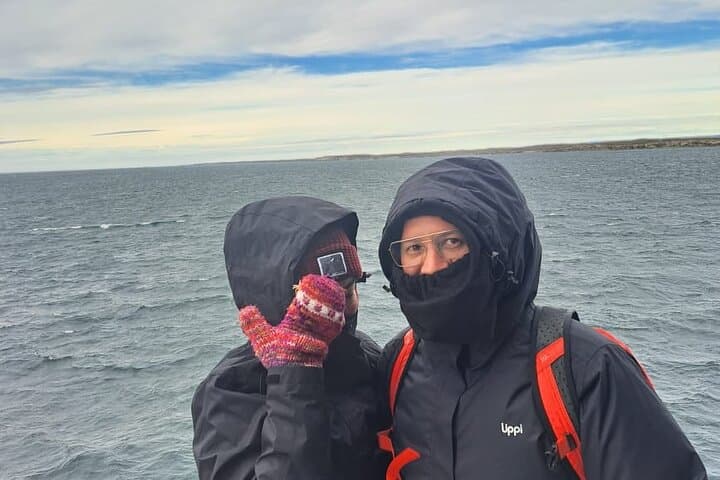 Day Trip to King Penguin Park — Private Wildlife Tour from Punta Arenas photo 4