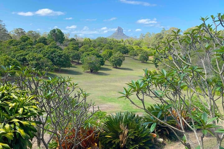 Glass House Mountains Day Tour from Noosa: Lookouts, Lunch & Old-Growth Walks photo 2