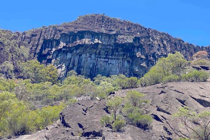 Glass House Mountains Day Tour from Noosa: Lookouts, Lunch & Old-Growth Walks photo 6