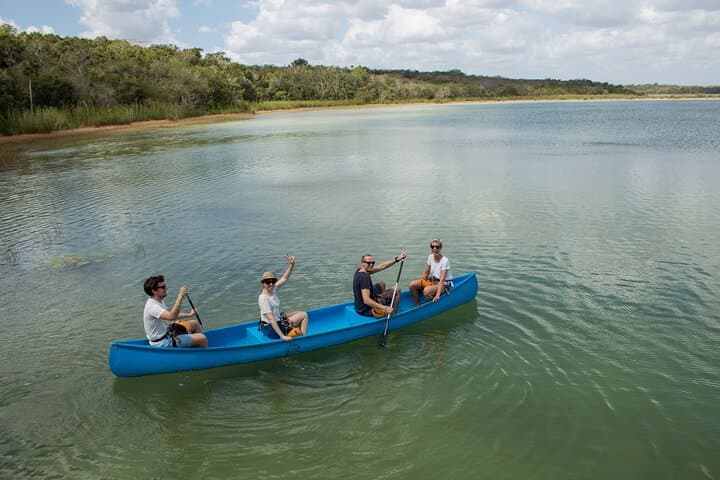 Private Coba Ruins and Monkey Reserve: Half-Day Archaeology and Jungle Adventure photo 5