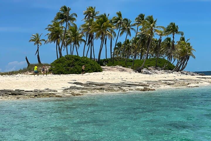 Nassau Swim with the Pigs Safari — 2-Hour Boat & Snorkel Trip photo 3