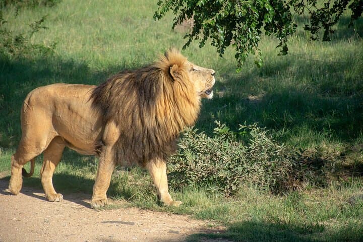 3-Day Budget Safari: Tarangire, Ngorongoro & Lake Manyara from Arusha
