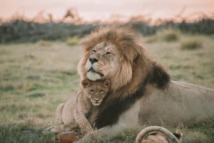 3-Day Budget Safari: Tarangire, Ngorongoro & Lake Manyara from Arusha photo 3