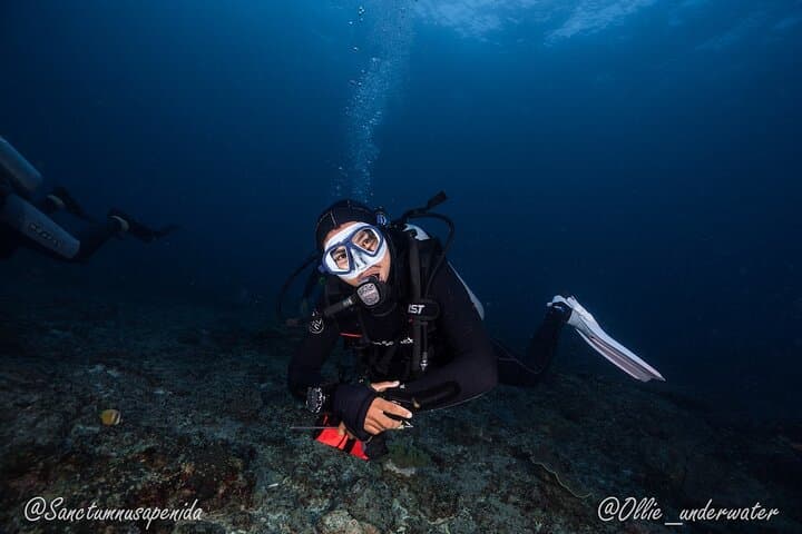 Beginner Scuba with Manta Rays in Nusa Penida — Try-Dive Adventure photo 2