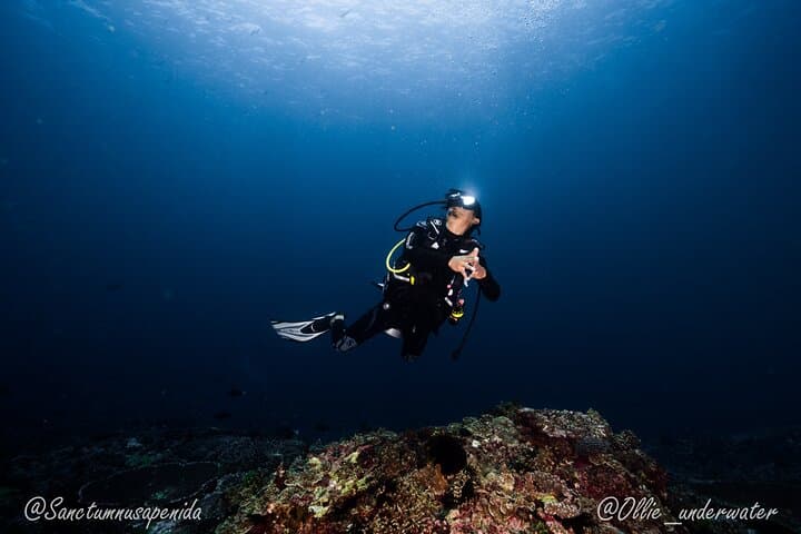 Beginner Scuba with Manta Rays in Nusa Penida — Try-Dive Adventure photo 5