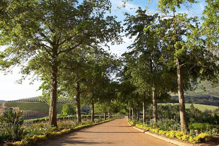 cape-winelands-private-wine-tasting-tour-stellenbosch-franschhoek photo 3