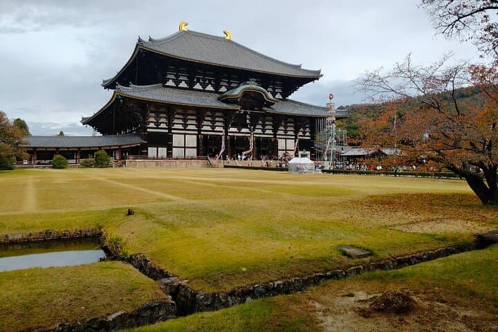 Three-Day Japan Highlights: Tokyo to Mt. Fuji, Nara & Kyoto photo 5