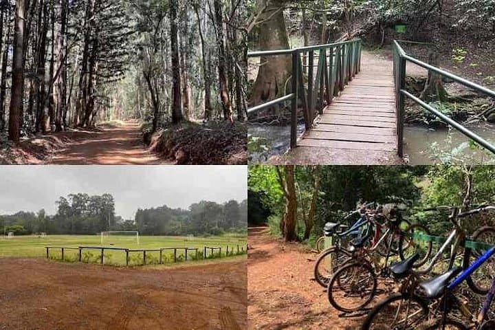 Karura Forest Day Hike & Biking Trail — Nairobi Urban Nature Adventure photo 3