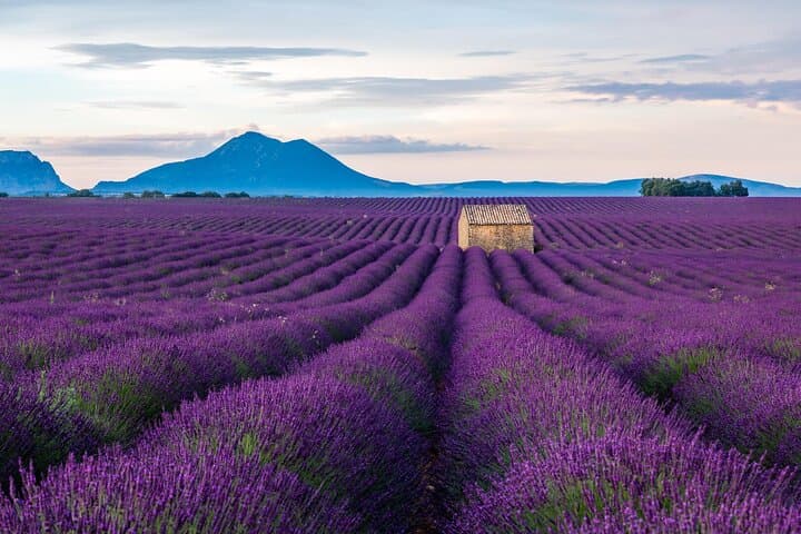 Full-Day Gorges du Verdon and Valensole Lavender Fields Tour from Nice photo 6