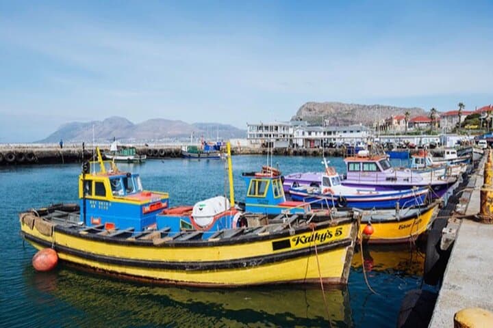 Cape Peninsula Day Tour: Cape Point, Boulders Beach & Chapman's Peak Drive photo 3