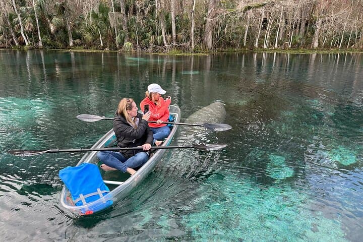 Silver Springs Clear Kayak Rentals: Paddle with Manatees in Crystal Water photo 6