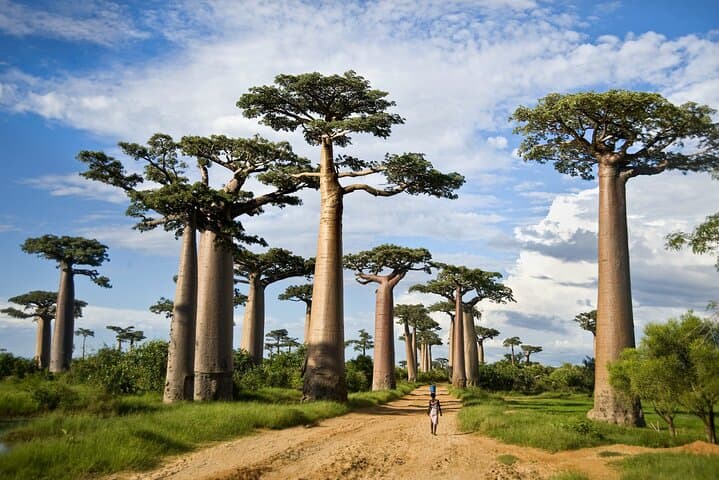 2-Day Safari to Tarangire and Ngorongoro Crater from Arusha photo 1