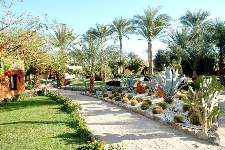 Sail a Traditional Felucca to Aswan's Kitchener Botanical Garden photo 2